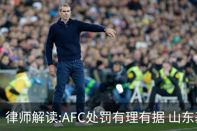 律师解读:AFC处罚有理有据 山东基本确定无缘亚冠